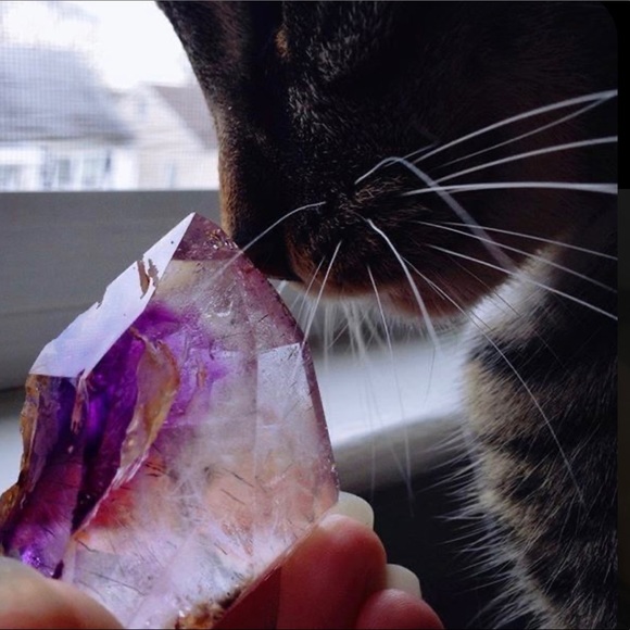 🍁Custom Curated Bohemian Dreamers Goth Mystery Collection box🍁Daring Goddess - Picture 6 of 17